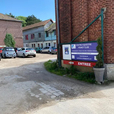 Au Reconfort De Draps Et Serviettes Fournies 12 *